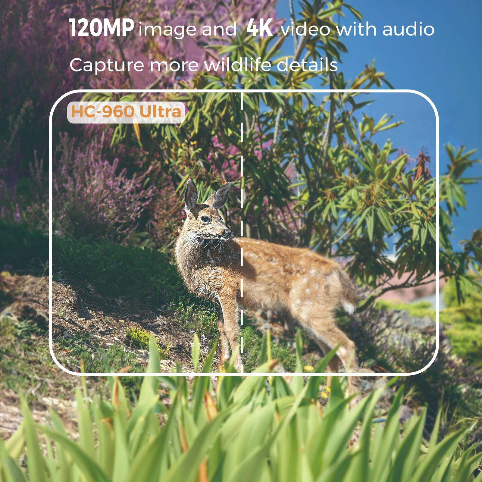 Outdoor 4K Video 120MP Foto 4G – Outdoor Hunting Video Camera Bewertung und Preis