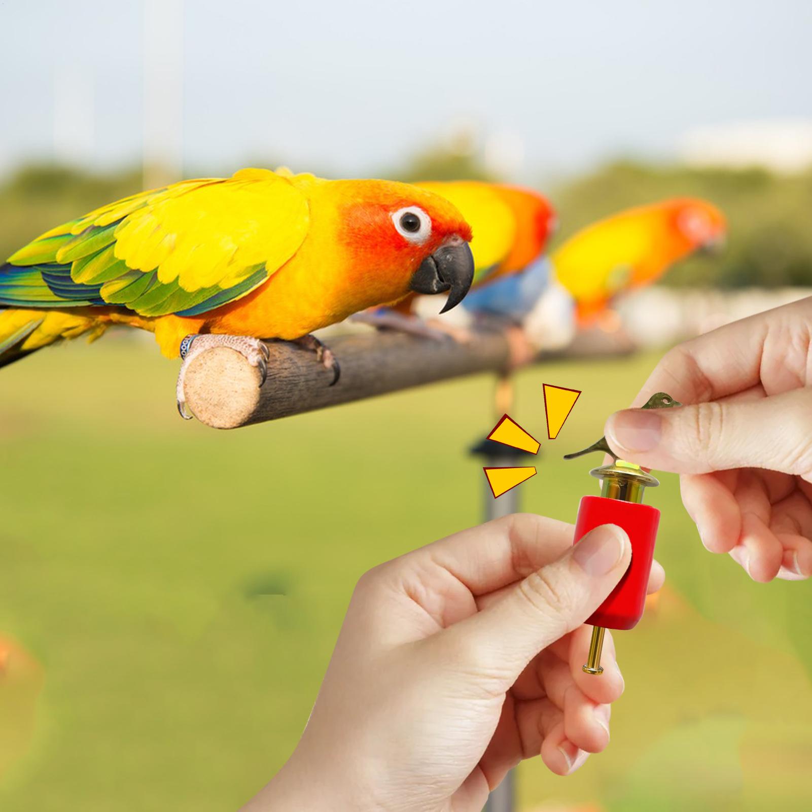 Vogelrufpfeife, realistisches  – Game Call Whistle Bewertung und Preis