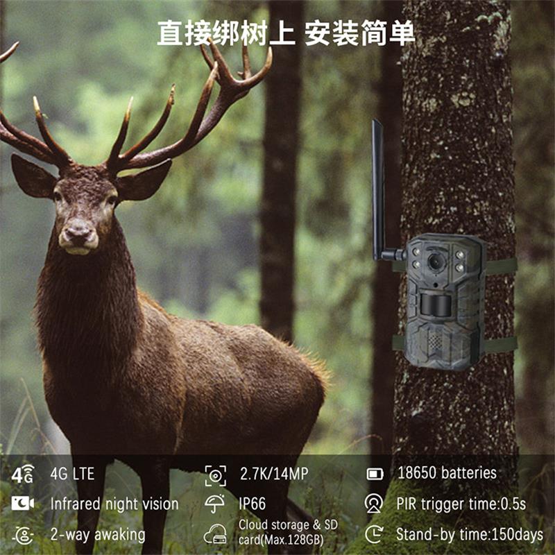 4G LTE Solar-Wildkamera mit EU – Outdoor Hunting Video Camera Bewertung und Preis