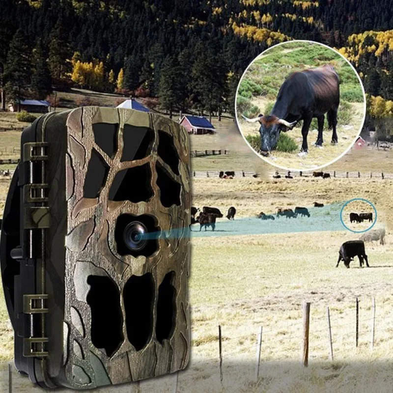 H982 IP66 Wasserdichte 4K Outd – Outdoor Hunting Video Camera Bewertung und Preis