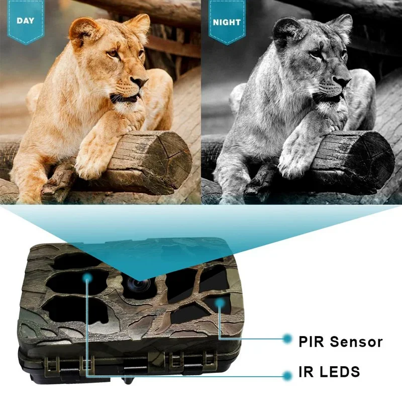 H982 IP66 Wasserdichte 4K Outd – Outdoor Hunting Video Camera Bewertung und Preis